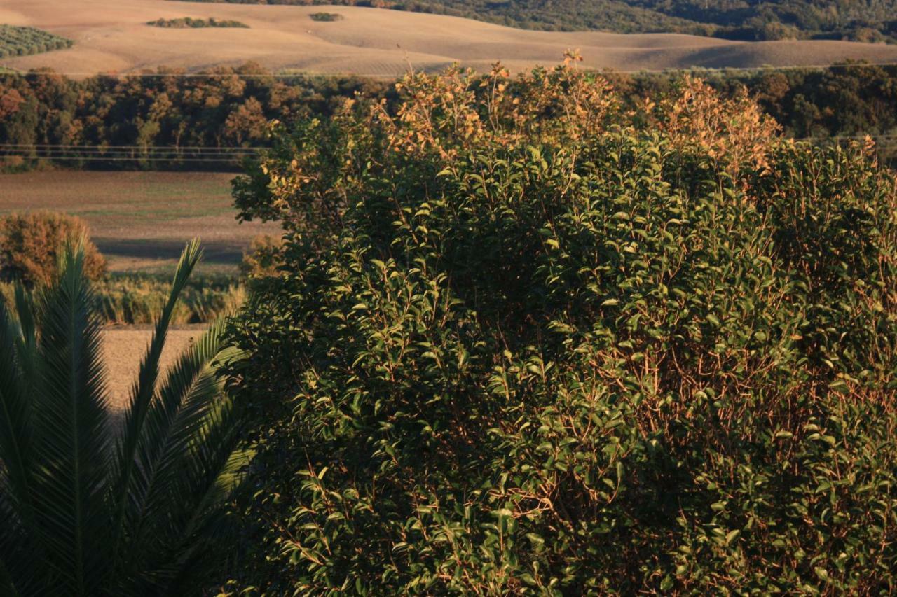 Appartamento Casa Il Gallo Castellina Marittima Esterno foto