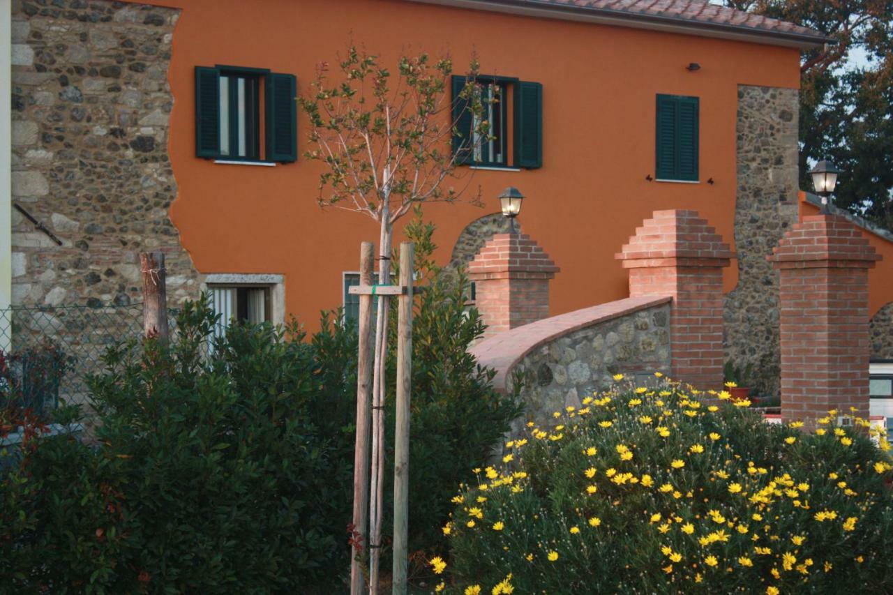 Appartamento Casa Il Gallo Castellina Marittima Esterno foto