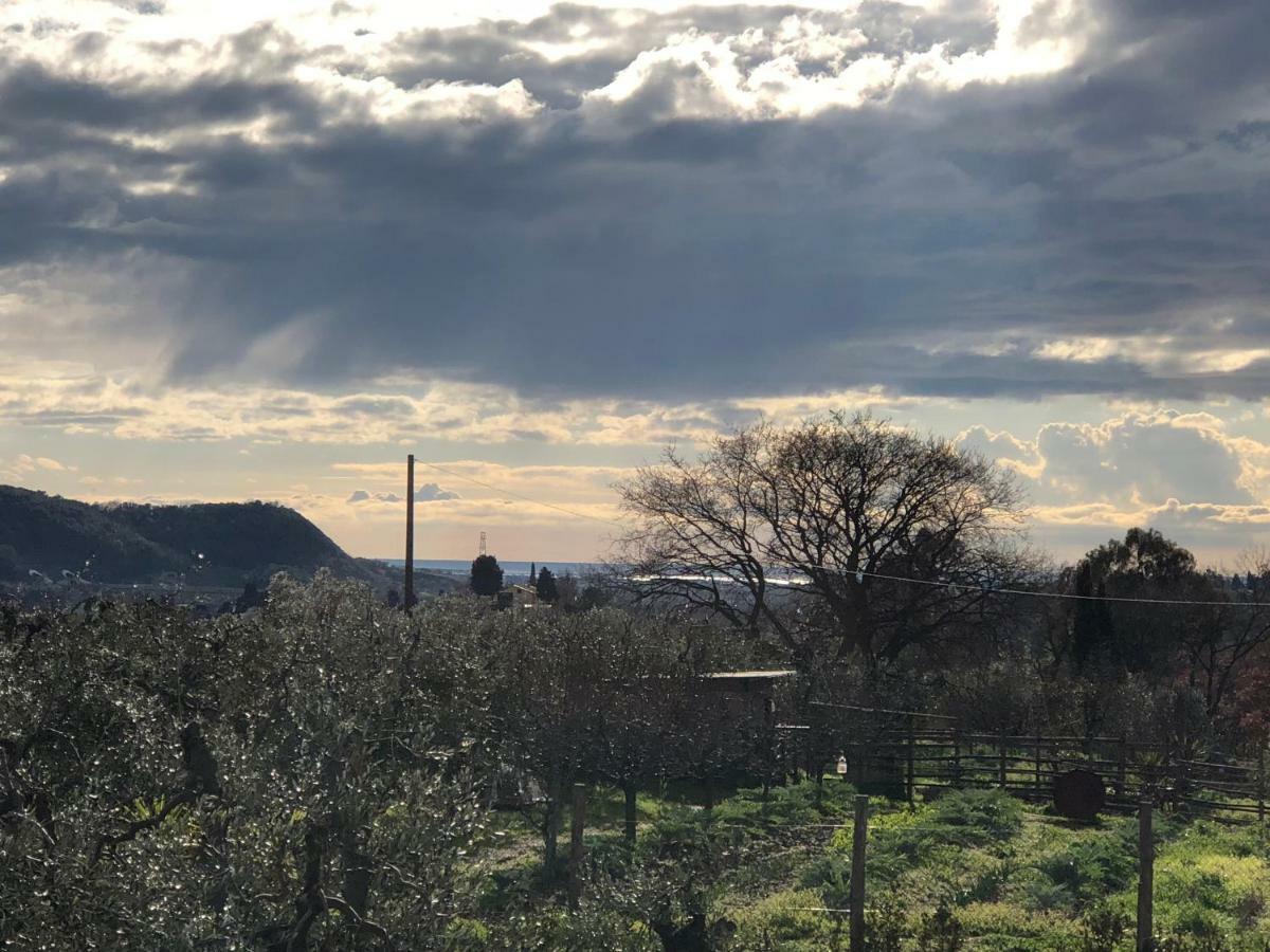 Casa Il Gallo Castellina Marittima Esterno foto