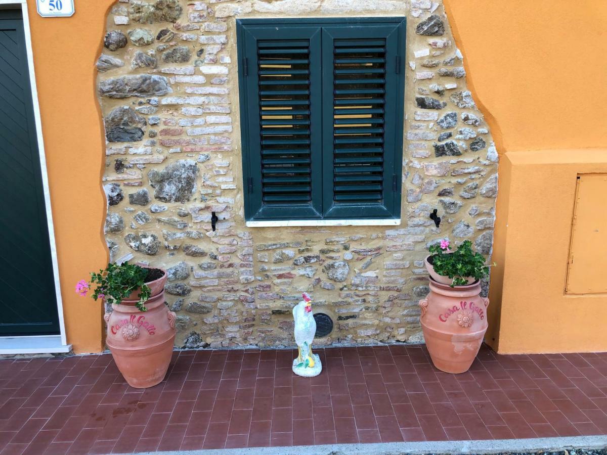 Appartamento Casa Il Gallo Castellina Marittima Esterno foto